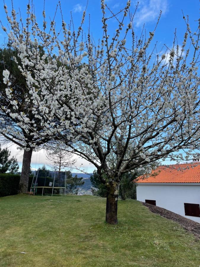 Villa Casa Catita - Douro Baião Exterior foto